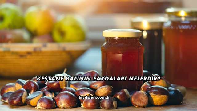 Kestane Balının Faydaları Nelerdir?