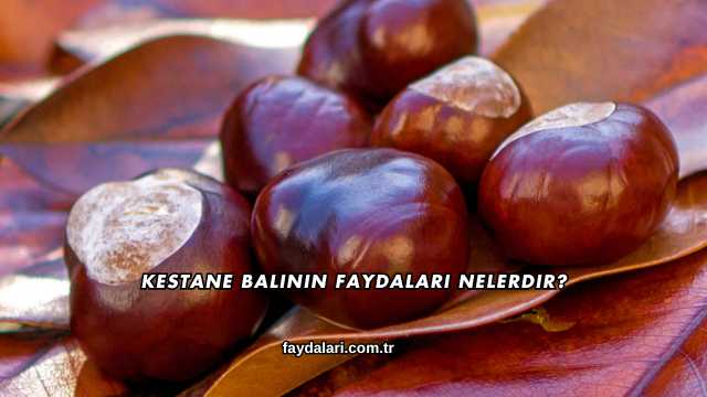 Kestane Balının Faydaları Nelerdir?