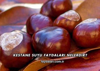 Kestane Suyu Faydaları Nelerdir?