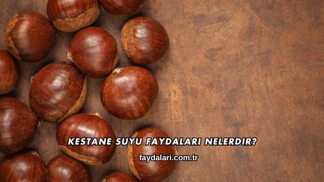 Kestane Suyu Faydaları Nelerdir?