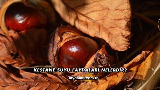 Kestane Suyu Faydaları Nelerdir?