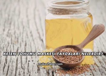 Keten Tohumu Maskesi Faydaları Nelerdir?