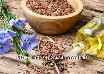 Keten Yağı Faydaları Nelerdir?