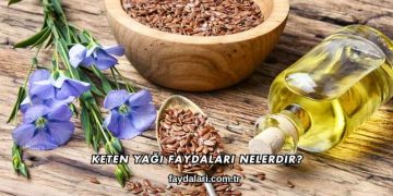 Keten Yağı Faydaları Nelerdir?
