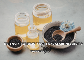 Ketencik Tohumu Yağı Faydaları Nelerdir?