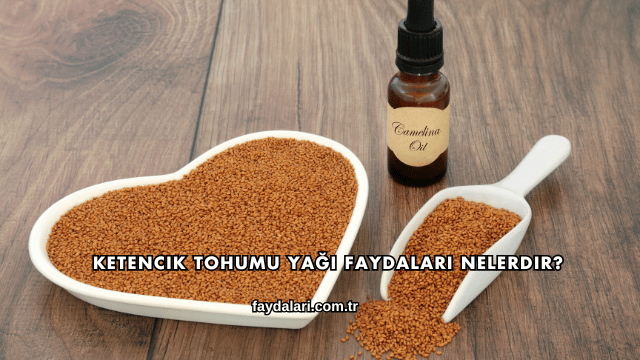 Ketencik Tohumu Yağı Faydaları Nelerdir?