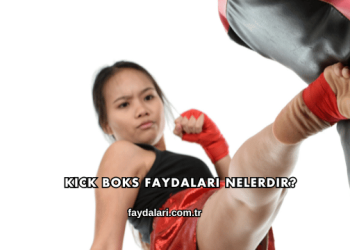 Kick Boks Faydaları Nelerdir?