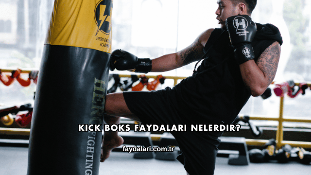 Kick Boks Faydaları Nelerdir?