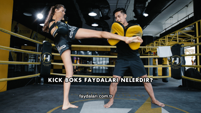 Kick Boks Faydaları Nelerdir?