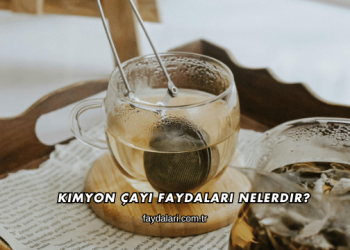 Kimyon Çayı Faydaları Nelerdir?