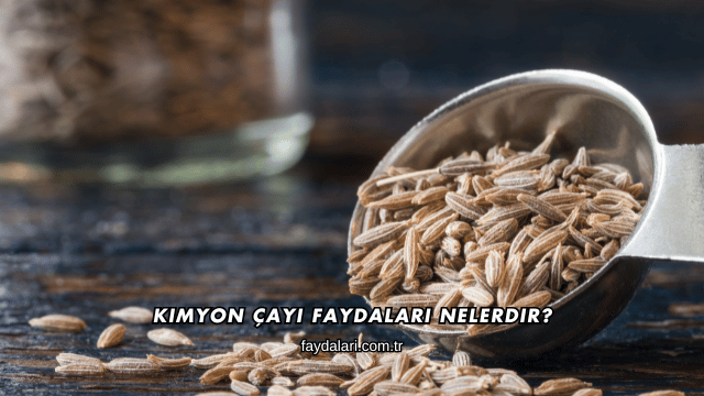 Kimyon Çayı Faydaları Nelerdir?
