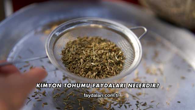 Kimyon Tohumu Faydaları Nelerdir?