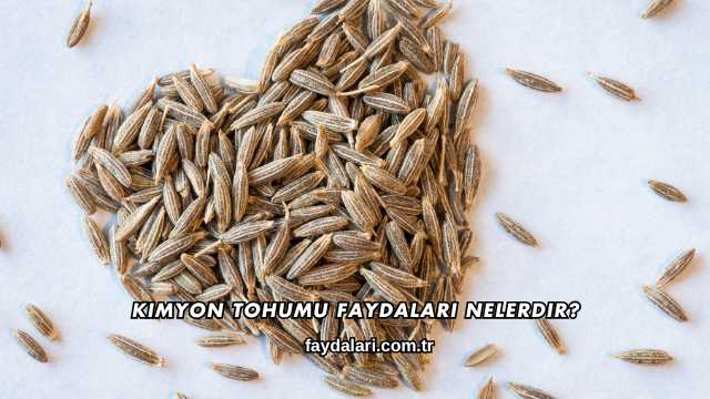 Kimyon Tohumu Faydaları Nelerdir?