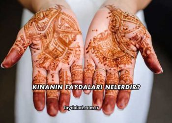 Kınanın Faydaları Nelerdir?