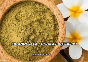 Kınanın Saça Faydaları Nelerdir?