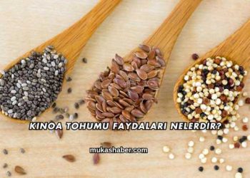 Kinoa Tohumu Faydaları Nelerdir?