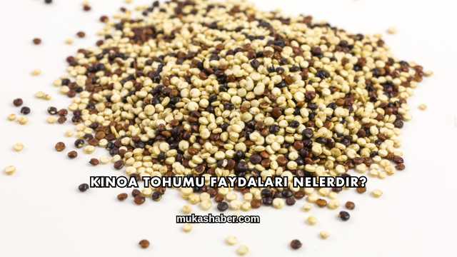 Kinoa Tohumu Faydaları Nelerdir?