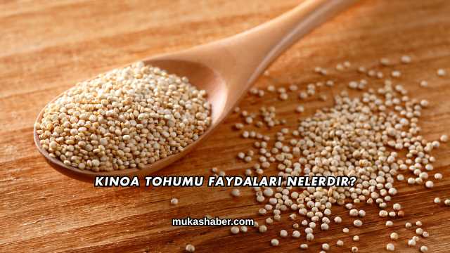 Kinoa Tohumu Faydaları Nelerdir?