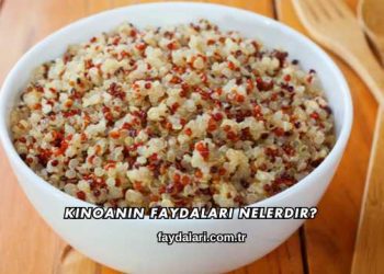 Kinoanın Faydaları Nelerdir?