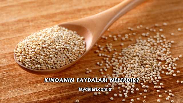 Kinoanın Faydaları Nelerdir?