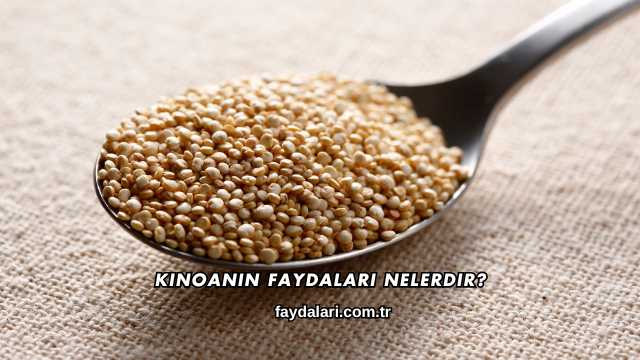 Kinoanın Faydaları Nelerdir?