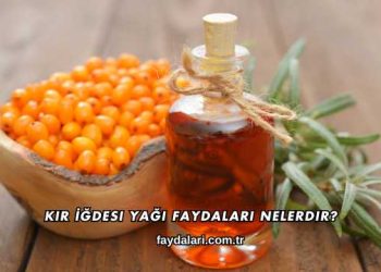 Kır İğdesi Yağı Faydaları Nelerdir?