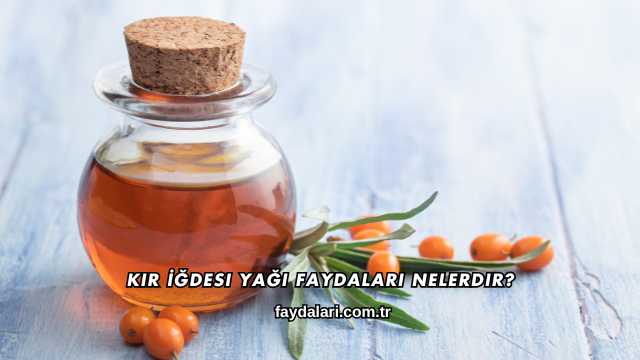 Kır İğdesi Yağı Faydaları Nelerdir?