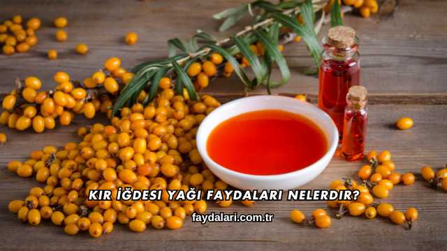 Kır İğdesi Yağı Faydaları Nelerdir?
