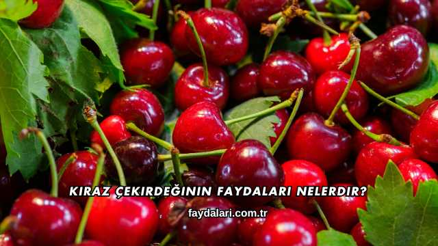 Kiraz Çekirdeğinin Faydaları Nelerdir?