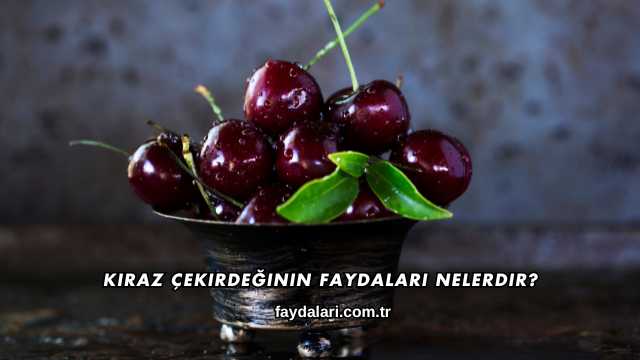 Kiraz Çekirdeğinin Faydaları Nelerdir?