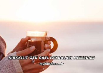Kırkkilit Otu Çayı Faydaları Nelerdir?