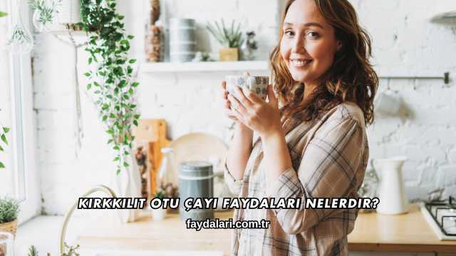 Kırkkilit Otu Çayı Faydaları Nelerdir?