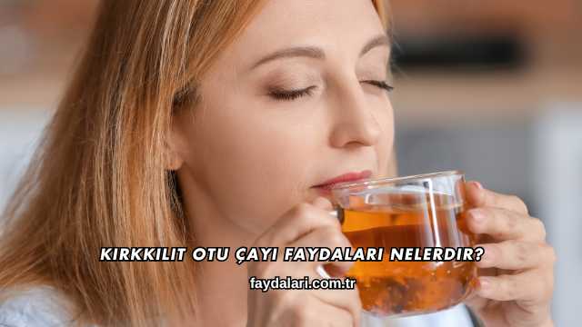 Kırkkilit Otu Çayı Faydaları Nelerdir?