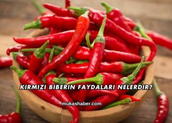 Kırmızı Biberin Faydaları Nelerdir?