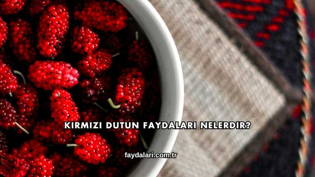 Kırmızı Dutun Faydaları Nelerdir?
