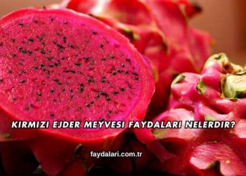 Kırmızı Ejder Meyvesi Faydaları Nelerdir?