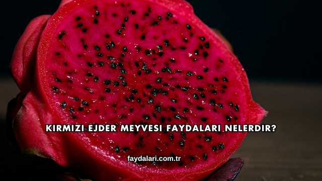 Kırmızı Ejder Meyvesi Faydaları Nelerdir?