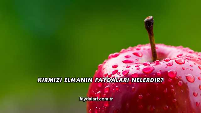 Kırmızı Elmanın Faydaları Nelerdir?