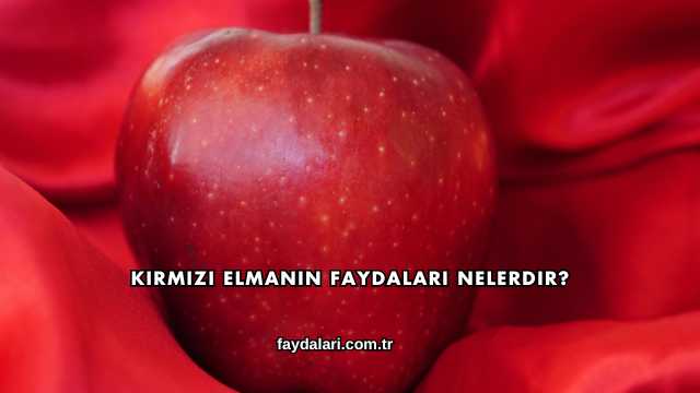 Kırmızı Elmanın Faydaları Nelerdir?