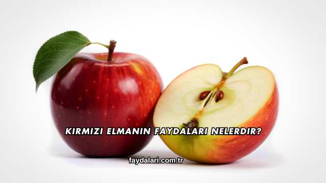 Kırmızı Elmanın Faydaları Nelerdir?