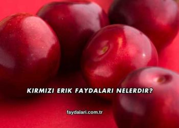 Kırmızı Erik Faydaları Nelerdir?