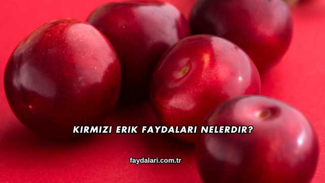 Kırmızı Erik Faydaları Nelerdir?