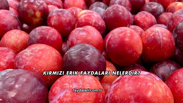 Kırmızı Erik Faydaları Nelerdir?