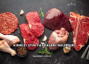 Kırmızı Etin Faydaları Nelerdir?