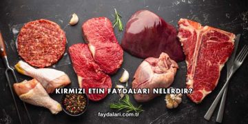 Kırmızı Etin Faydaları Nelerdir?