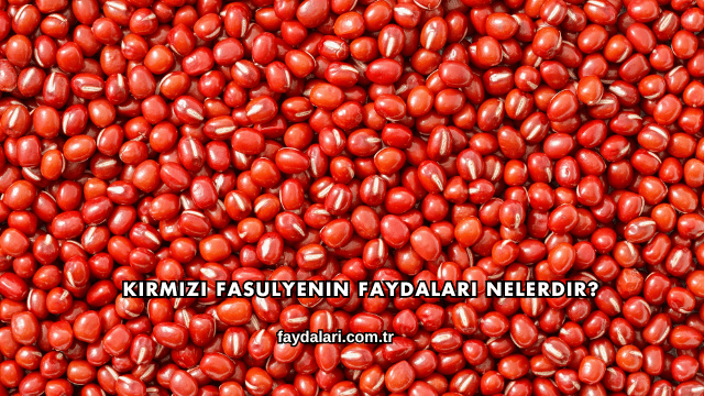 Kırmızı Fasulyenin Faydaları Nelerdir?