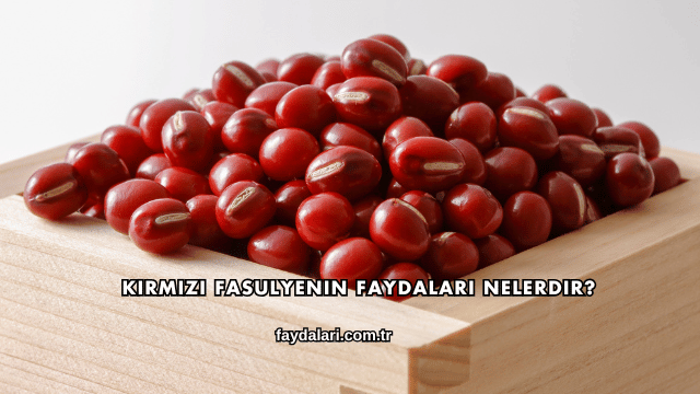 Kırmızı Fasulyenin Faydaları Nelerdir?