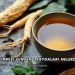 Kırmızı Ginseng Faydaları Nelerdir?