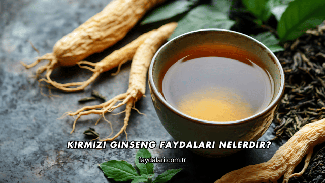 Kırmızı Ginseng Faydaları Nelerdir?
