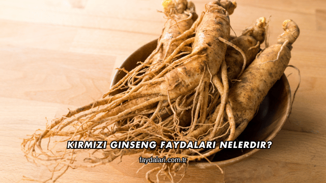 Kırmızı Ginseng Faydaları Nelerdir?
